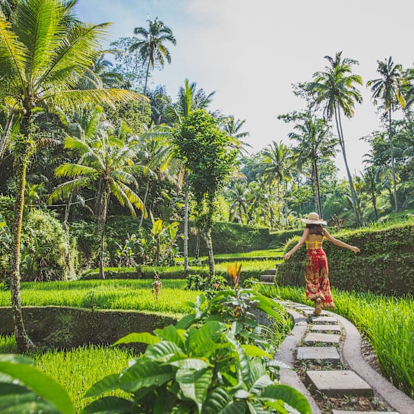 Bali, Gili and Lombok: From sunrise hikes to surfing paradise