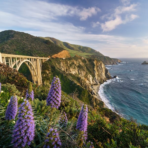 New York and California: Road trip dreams and national wonders