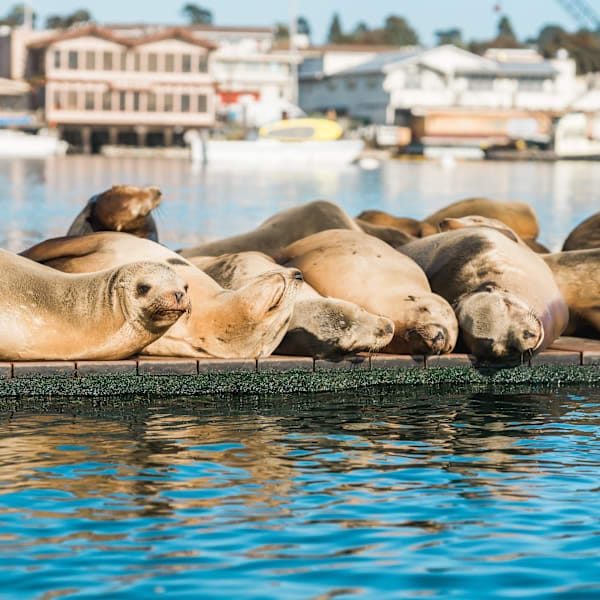 New York and California: Road trip dreams and national wonders